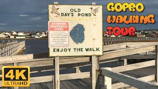 Walking Tour around the Old Day's Pond Boardwalk (Bonavista, Newfoundland) - 4K GoPro Scenic Tour