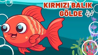 Kırmızı Balık Gölde - Bebek ve Çocuk Şarkıları - Animasyon - Çizgi Film - Concon Masal