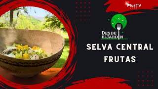 Desde el Jardín - Selva Central: FRUTAS