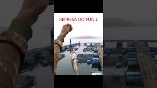 É MUITO BOM #PESCAR #TUCUNARE #shorts #fishing #viral