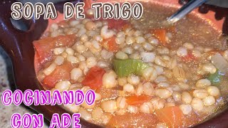 Sopa de trigo! Súper rica y nutritiva!