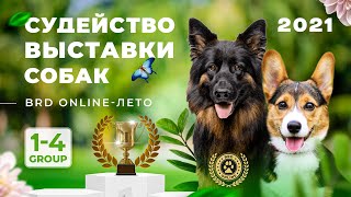 BRD-ONLINE ЛЕТО 2021 1-4 Группы HD Качество