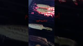 اسكندريه الآن على البحر مباشره #مصر #اكسبلور #ليبيا #فولو #لايك