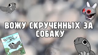 ВОЖДЕНИЕ СКРИПЫШЕЙ В DANDY'S WORLD ЗА PEBBLE | Dandy's world Roblox |