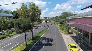 View of Singapore || Singapore such a beautiful country with nature || Creation Cut