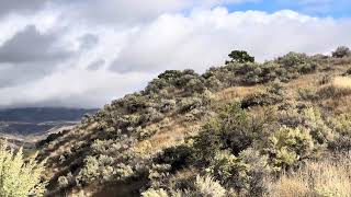 Dramatic Cloudy Day in the Military Reserve 3Oct2023