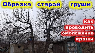 ОБРЕЗКА старой ГРУШИ на ОМОЛОЖЕНИЕ и снижение кроны