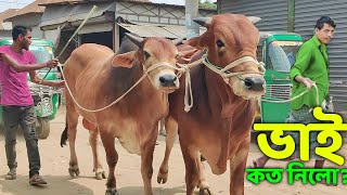 Bhai Koto Nilo? Paragram (Hozrotpur) Gorur Hat 2024-Part 1 | Qurbani Cow Price in Bangladesh | Cows