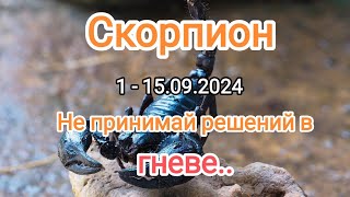 СКОРПИОН ✨1 - 15.09.2024.Тароскоп.