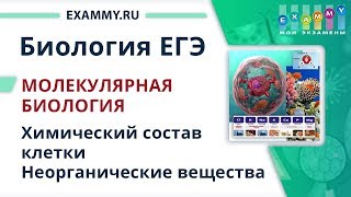 БИОЛОГИЯ ЕГЭ Подготовка | Урок #2. Химический состав клетки. Неорганические вещества