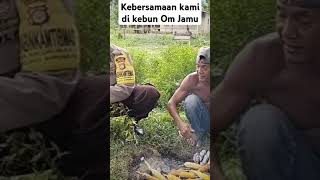 kebersamaan kami di kebun