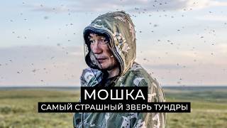 Мошка: самый страшный зверь тундры | Факты