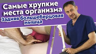 Как сделать самомассаж задней большеберцовой мышцы? / Самые хрупкие места организма