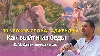 "10 уроков слона Гаджендры, как выйти из беды" Девакинандана дас