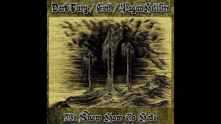 Dark Fury / Evil / Pagan Hellfire  'We know How to H8' - full split 2012