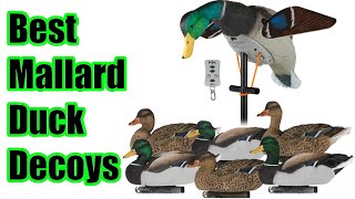 Best Mallard Duck Decoys