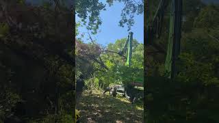 Machines and tree work 😎💰😎#youtubeshorts #environment #environmentalactivism #awesome #nature