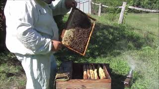 Осенние работы на пасеке (работа с гнездами). Ч. - 1