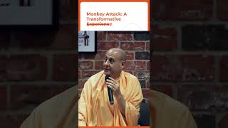 monkey attack_ a transformative experience :Sacred Visions