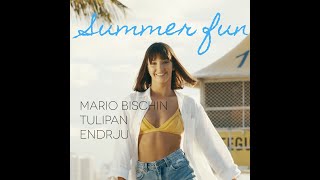 Endrju & Mario Bischin & Tulipan - Summer Fun