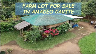 #03 HOLD - FARM LOT for Sale in Amadeo Cavite Philippines