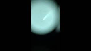 Comet Neowise in real time via night vision - shakey