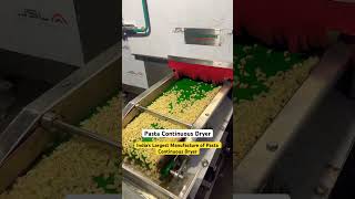 India’s largest manufacture of pasta continuous dryer | pasta continuous dryer manufacture in India