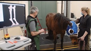 Equina by Asto CT, Improving Care and Patient Outcomes at Leatherdale Equine Hospital