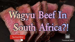 I Tried Wagyu A5 Picanha Beef Steak in South Africa!!! (Cows that drink beer)