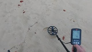 Metal Detecting Beaches South Africa #Metaldetecting