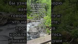 Из Евангелия от Матфея глава 10_10 #евангелие#евангелиеотматфея #библия#новыйзавет #священноеписание