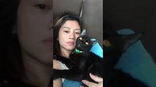 What is your cat-tion in this video? 🤭😂