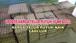 update harga telur puyuh 30 mei 2022