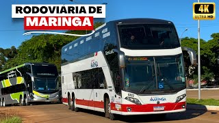 GRANDE MOVIMENTO DE ÔNIBUS na Rodoviária de Maringá | Viação Garcia, Nordeste e mais.