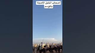 لكل محبي الخيل و الخيالة بموسم أولاد براهيم