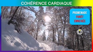 COHERENCE CARDIAQUE 5 MN PROMENADE FORET ENNEIGEE