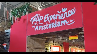 Tulip Experience Amsterdam