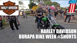 #shorts #burapa #bikeweek #pattaya #harley #harleydavidson