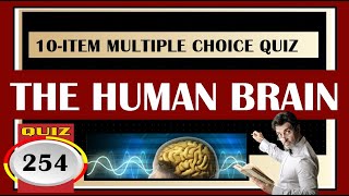 Quiz 254: INTERESTING THINGS ABOUT THE HUMAN BRAIN