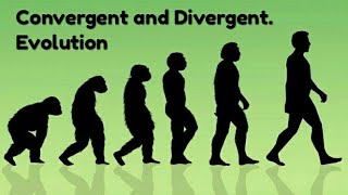 Evolution | Homologous | Divergent |Analogous | Convergent Trick (short story) + Question