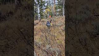 Youth Elk Hunt in the Sawtooths #idaho #elkhunting  #sawtoothmountains #youthhunt