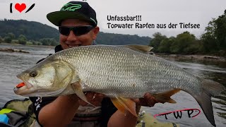 UNFASSBAR!!! Topwater Rapfen aus der Tiefsee!