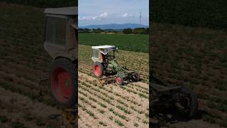 Fendt GT 🚜 #shorts #shortsfeed #drohne #drohnenvideo #foryou #viral #landwirtschaft #short #land