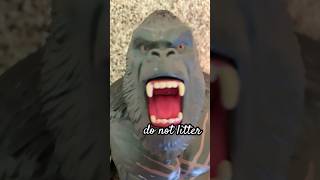 do not litter- King Kong.#subscribe#like#kong#scarking