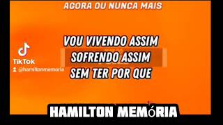 Hamilton Memória O Cachorrão Da madrugada. agora ou nunca mais