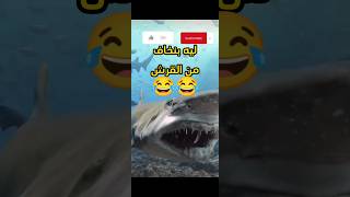 ليه بنخاف من سمكه القرش ؟