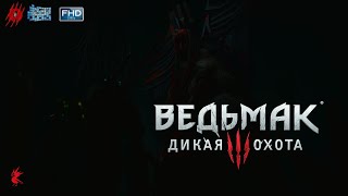 The Witcher III: Дикая Охота. Прохождение без комментариев. Часть № 47