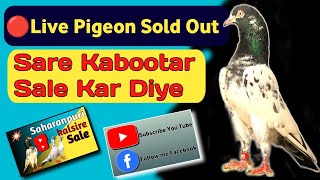 Pigeon Fans Club is live Sale ki video ko like and share karo | channel ko Subscribe karo 🕊🪶🥰💷💵