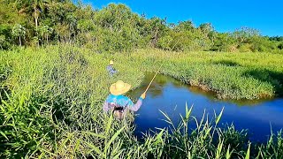 NEN ACREDITEI QUANDO ELE PEGOU ESSE PEIXE NESSE RIOZINHO. /PESCARIA RAIZ COM VARA DE BAMNU.