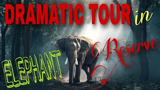 Dramatic Tour in Elephant reserve.